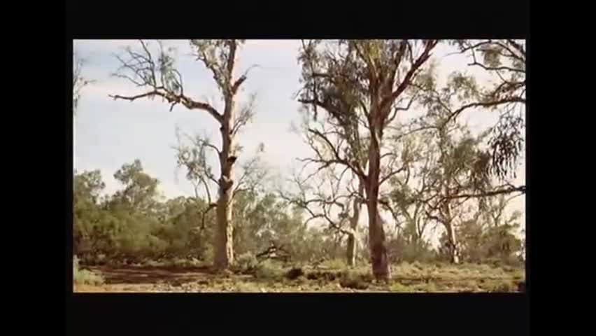 Embedded Online Player - ClickView