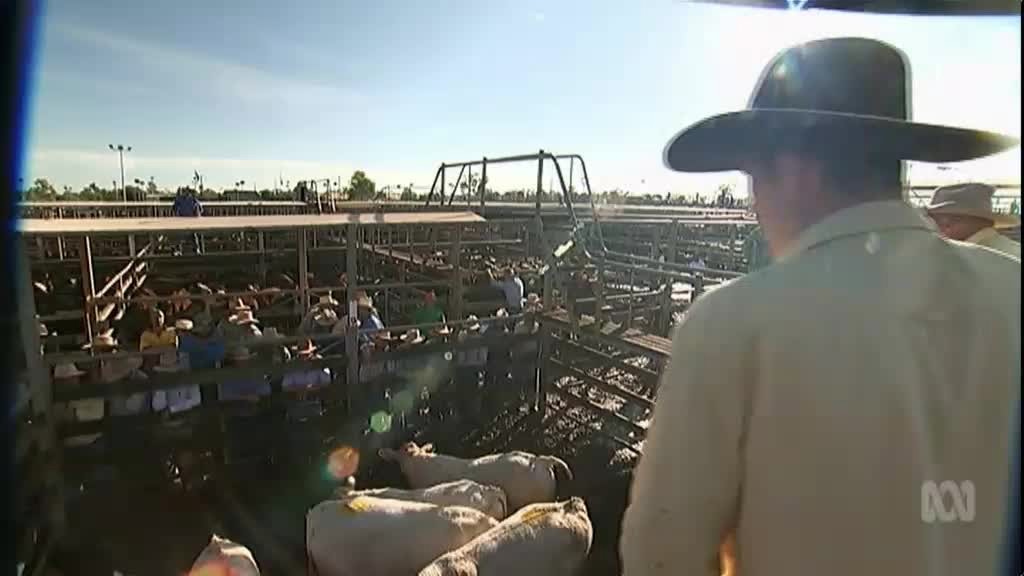 Embedded Online Player - ClickView