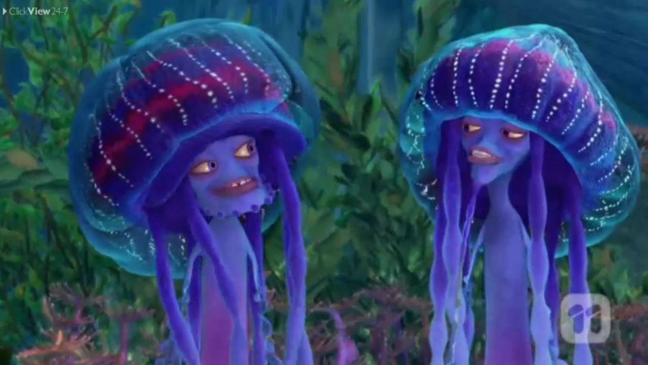 shark tales jellyfish