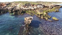 Rocky Shores and Reefs
