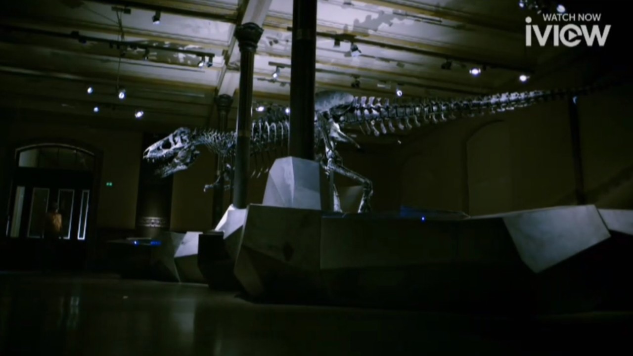 Rediscovering T-Rex - T-Rex is the most famou... - ClickView