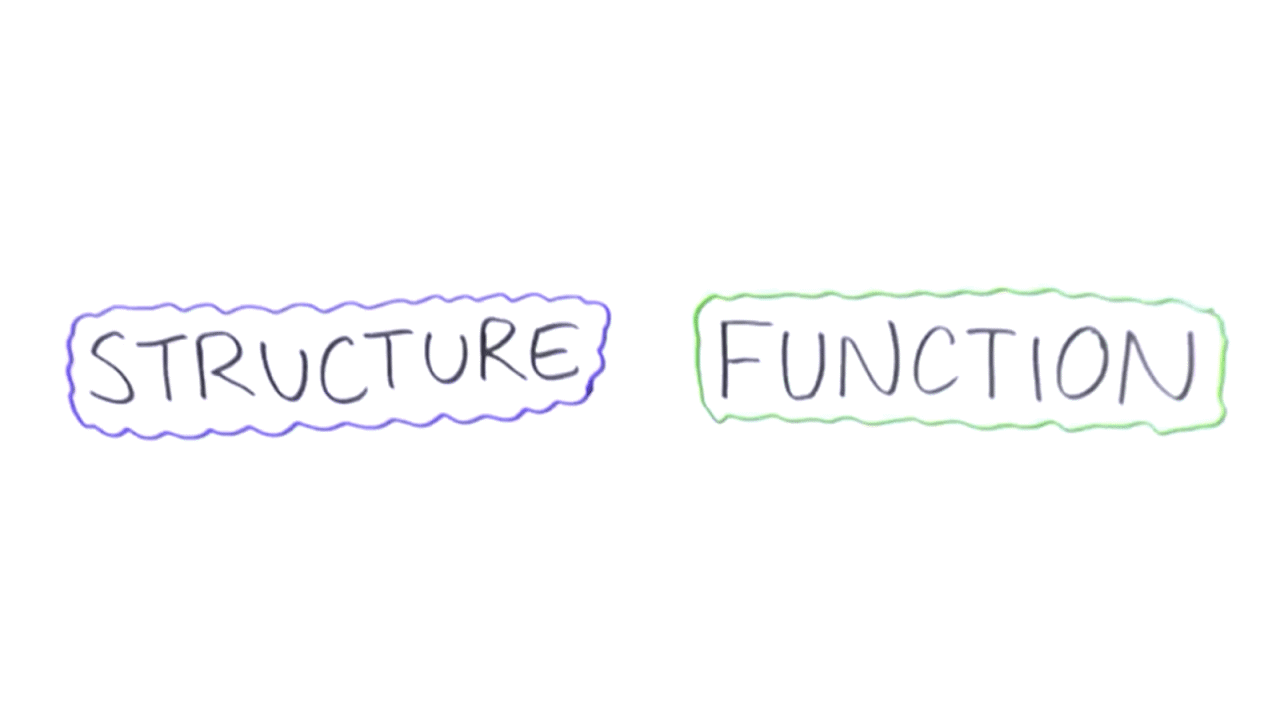 structure-and-function-in-biology-the-terms-clickview