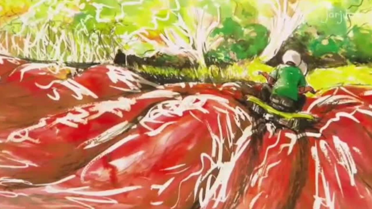 Bush Tucker Video & Resources | ClickView