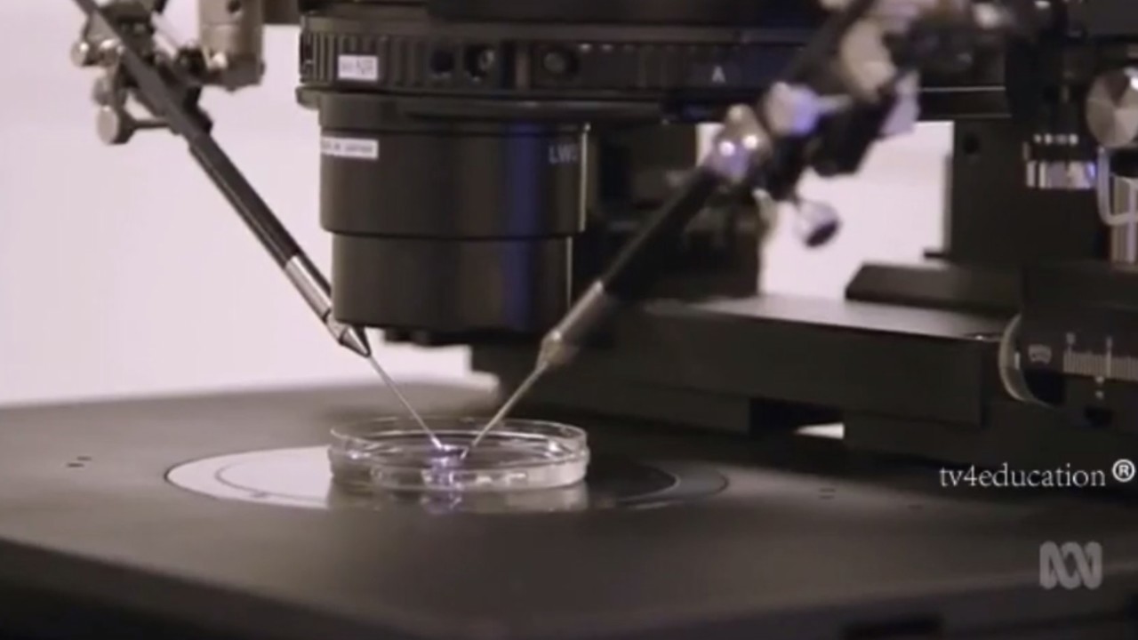 Embedded Online Player - ClickView