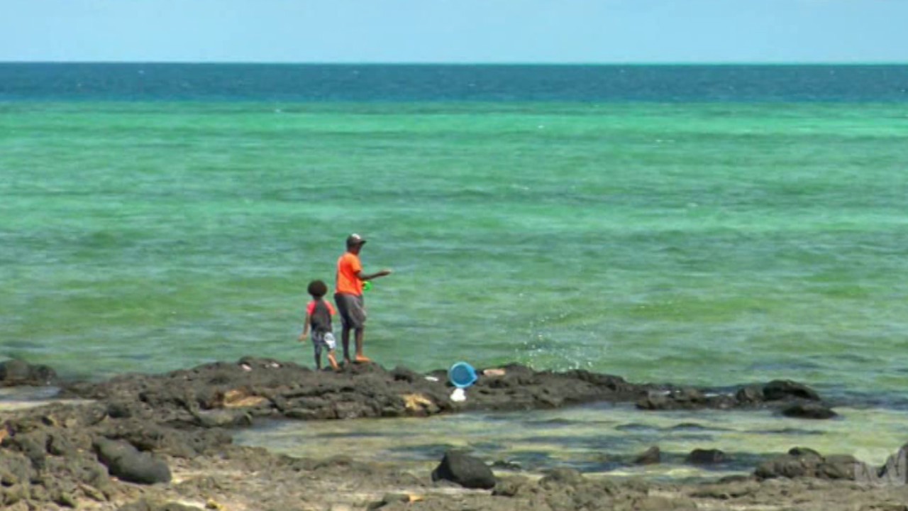 Art + Soul - Airs 6:30 PM 29 Mar 2020 on NITV - ClickView