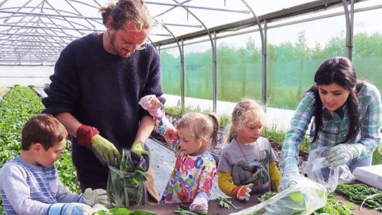 Down on the Farm - Airs 12:40 PM 8 Aug 2020 on CBeebies - ClickView