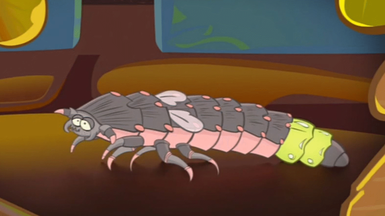 Glow Worm Video & Resources | ClickView