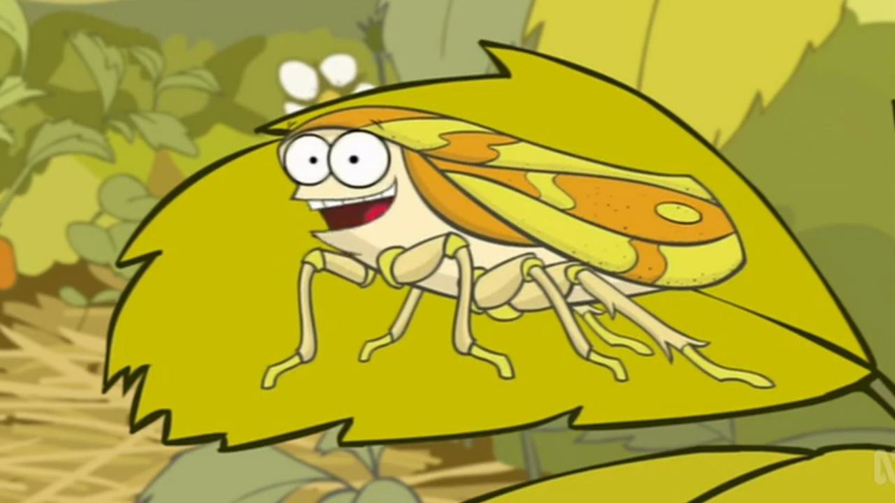 Froghopper - ClickView