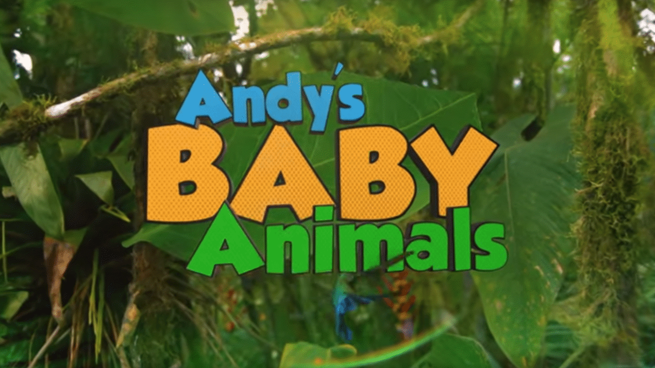 andy-s-baby-animals-airs-6-47-pm-12-dec-2020-on-abc2-kids-clickview