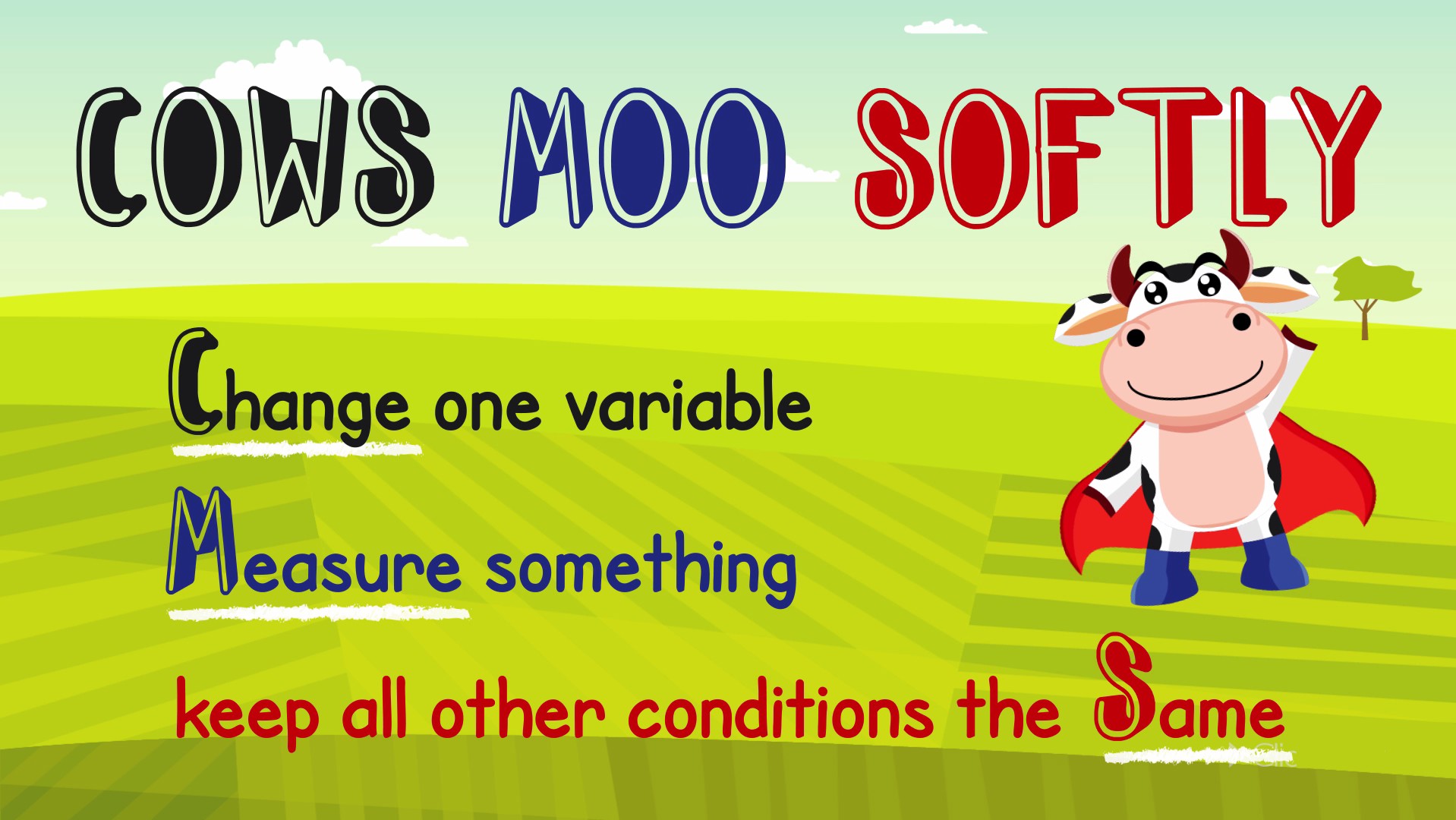 cows-moo-softly-how-to-do-a-fair-test-video-teaching-resources-clickview