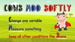 Cows Moo Softly: How to Do a Fair Test