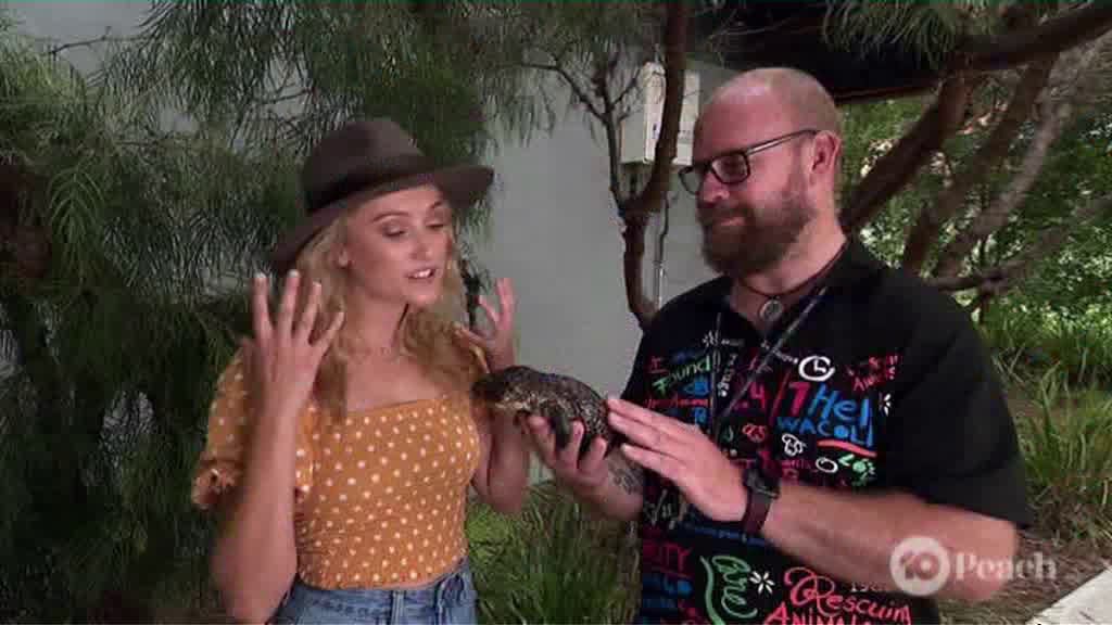 Episode 83 - In this episode of Totally Wild,... - ClickView