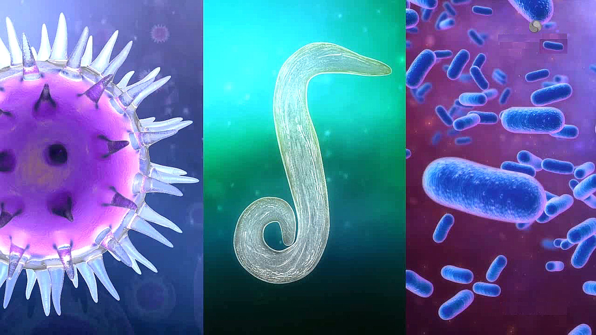 Microbial Diseases in Humans Video Teaching Resources | ClickView