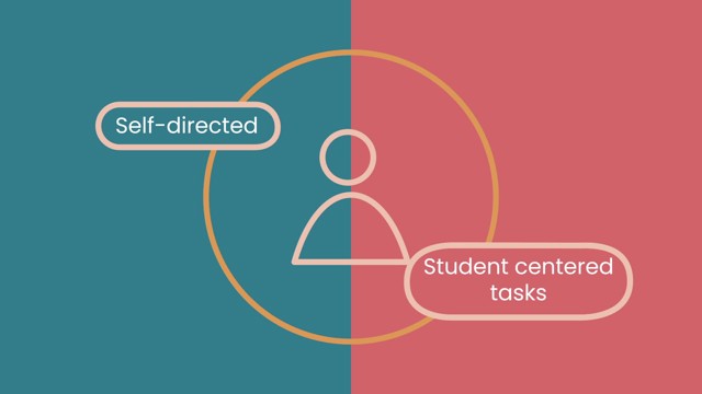 How to Plan and Facilitate Online Problem Based Learning Tasks