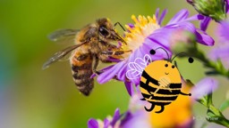 Why Are Bees Important?