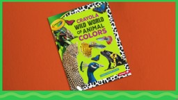 Colourful World of Animals