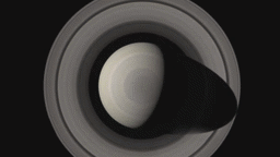 Saturn’s Weirdest Ring