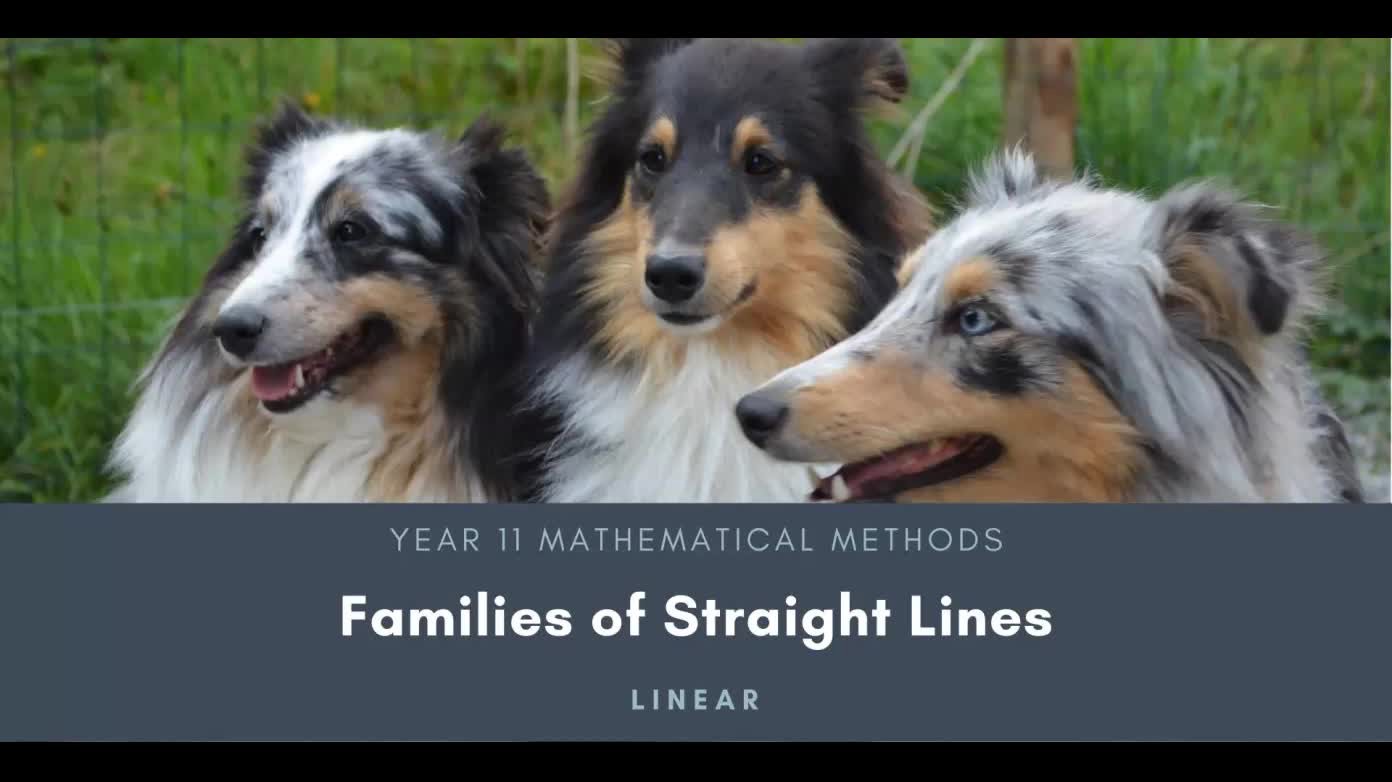 11 - Linear - Families of Straight Lines - ClickView