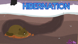 Getting Ready for Hibernation!