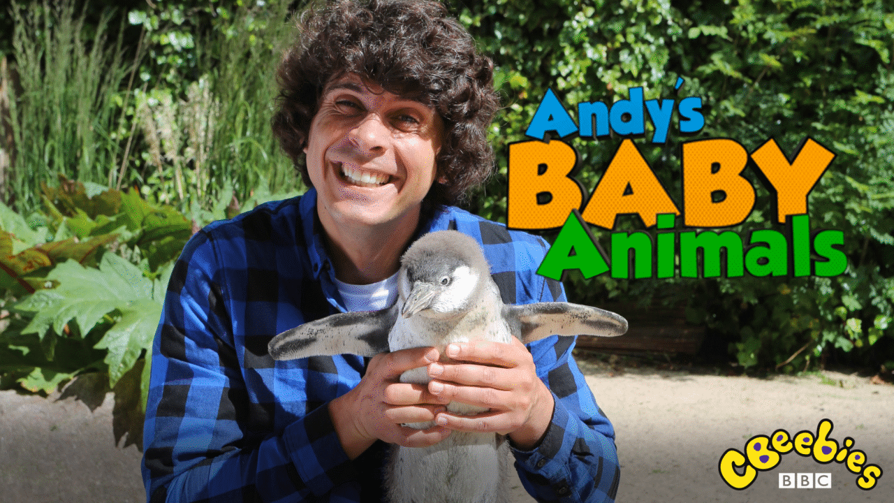 Andy's Baby Animals - Airs 4:45 PM 27 Nov 2022 on Cbeebies HD - ClickView