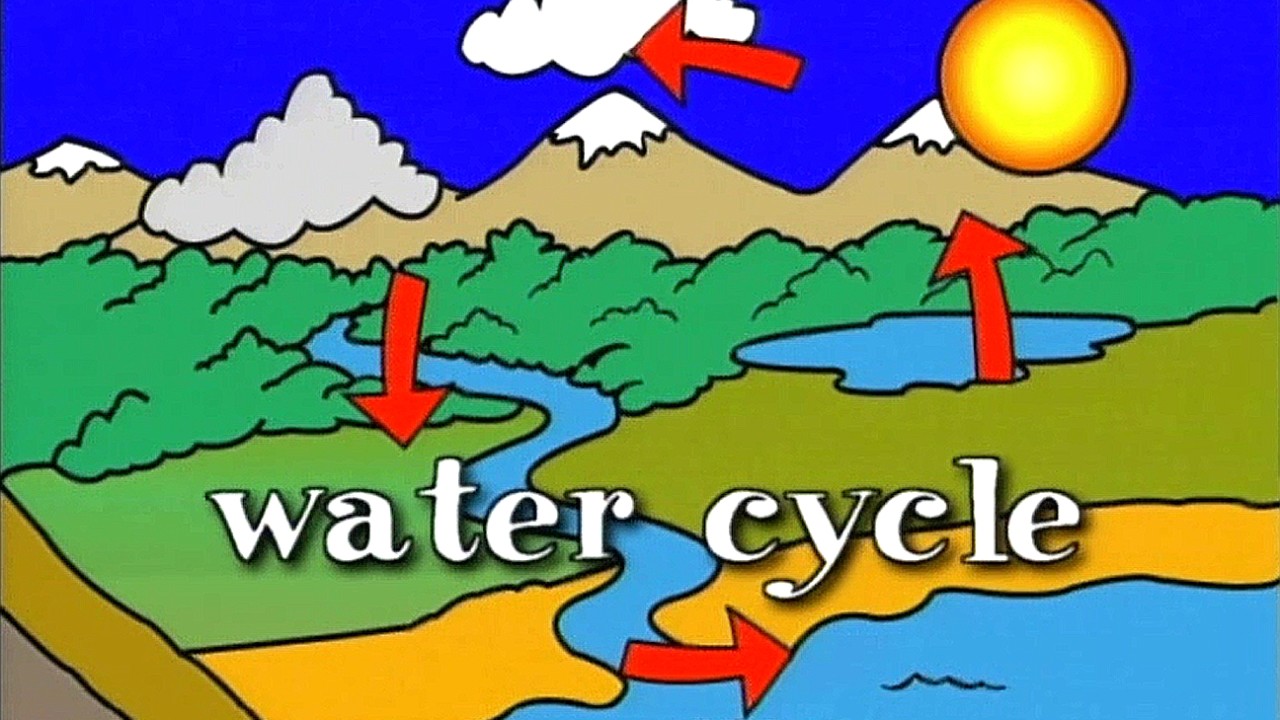 All About The Water Cycle Video Teaching Resources Clickview