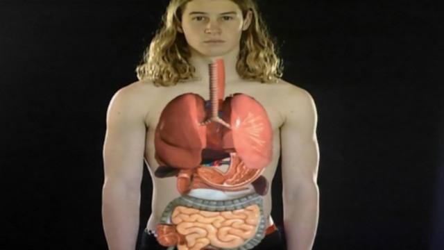 Body Systems Video Teaching Resources | ClickView