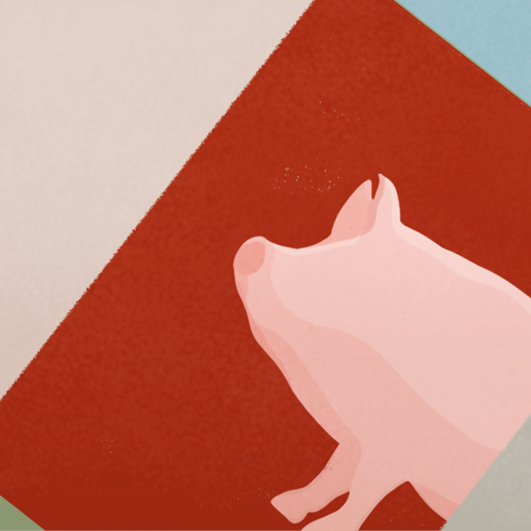 Animal Farm Videos, Resources & Worksheets | ClickView