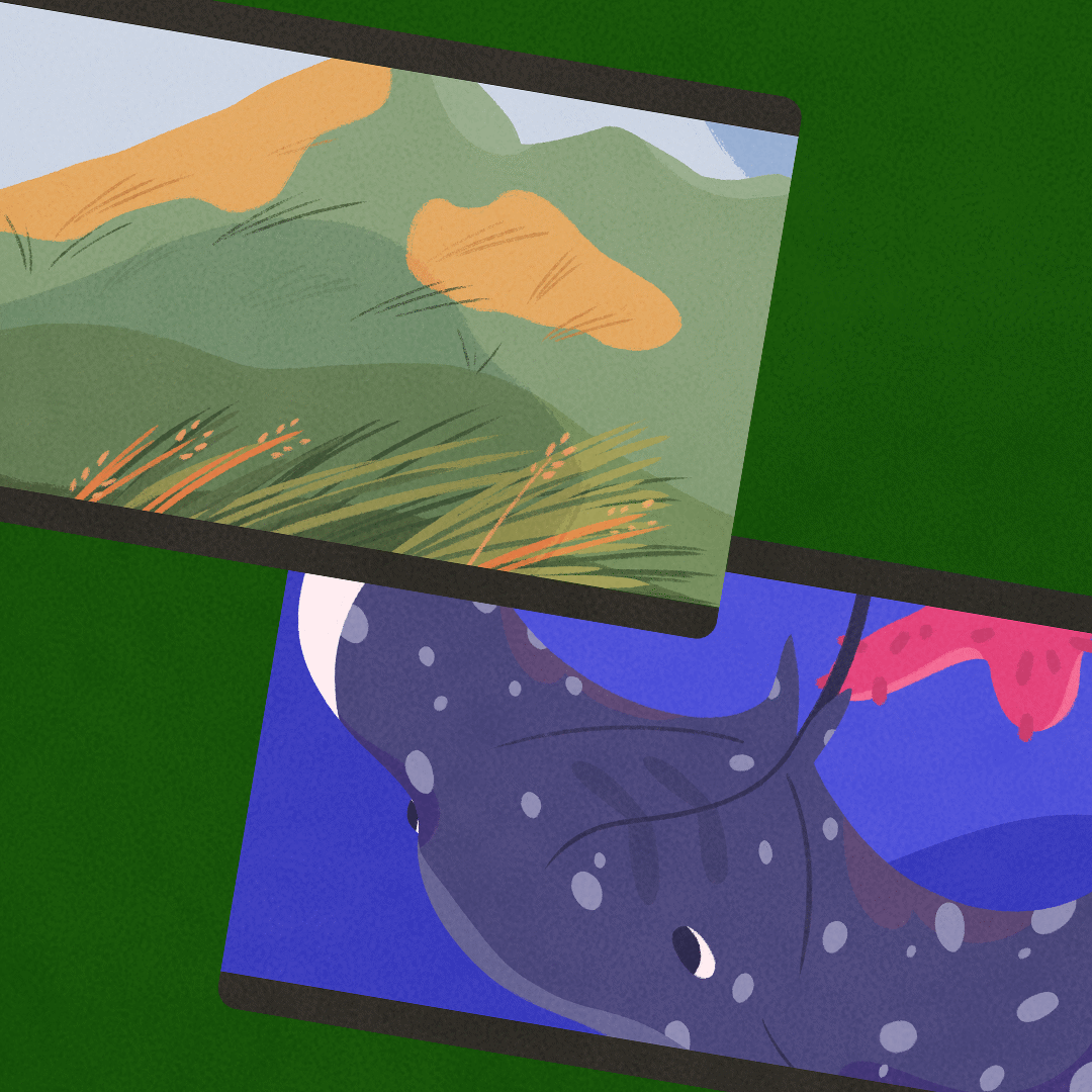 Environmental Documentaries ClickView