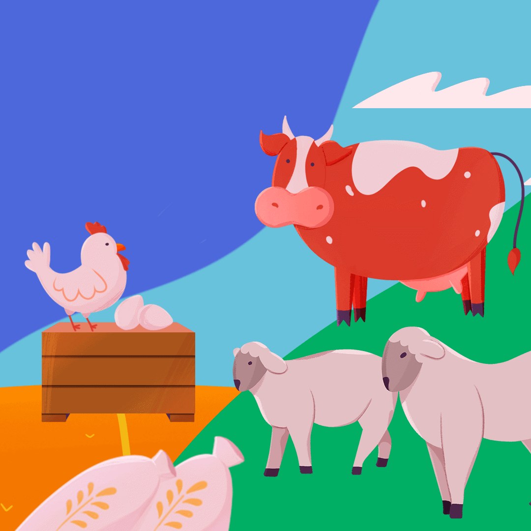 Farm Animals Videos, Resources & Worksheets | ClickView
