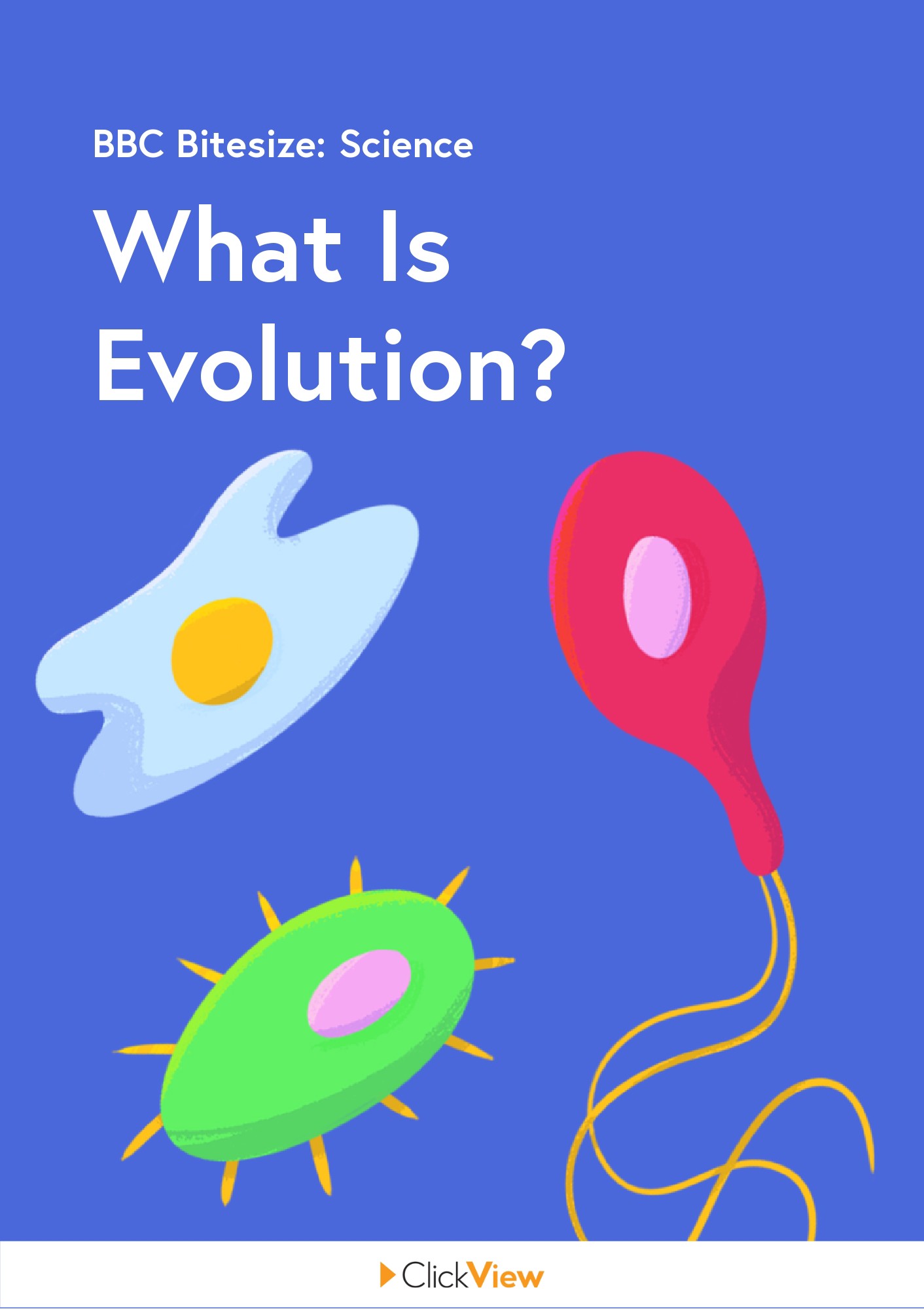 What Is Evolution? Video & Resources | ClickView