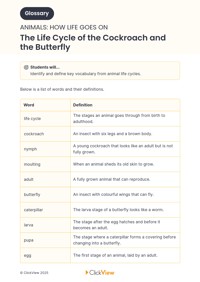 The Life Cycle of the Cockroach and the Butterfly | ClickView