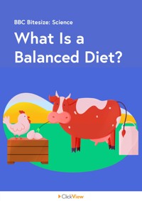 What Is a Balanced Diet? Video & Resources | ClickView