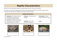 Rough-throated Leaf-tailed Gecko | ClickView