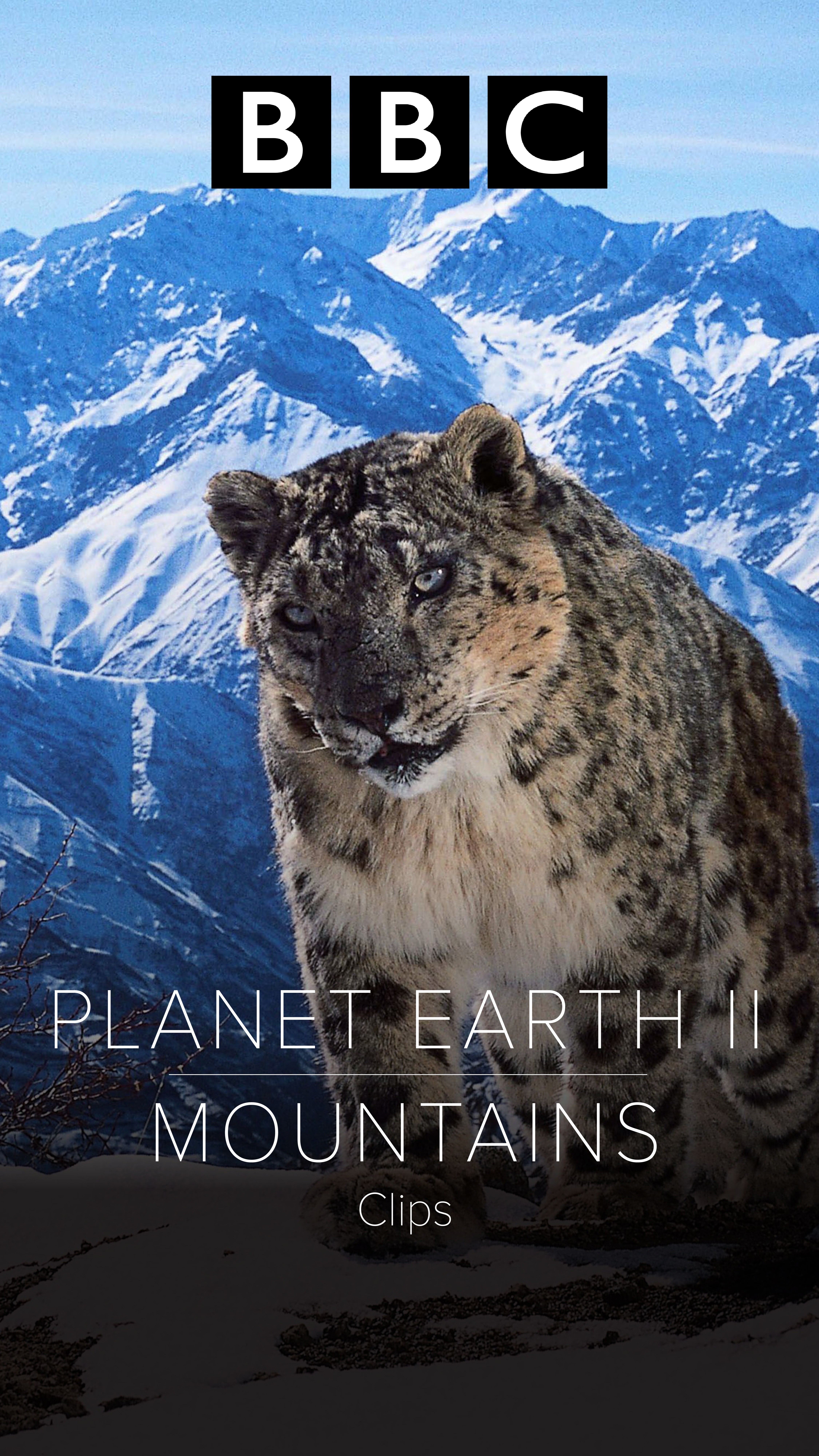 Planet Earth II: Mountains (Clips) | ClickView