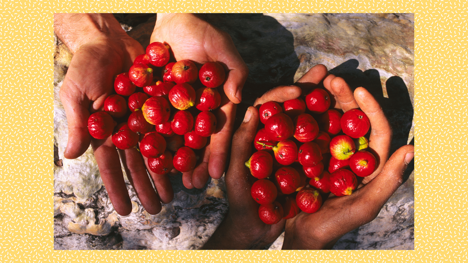 Bush Medicine