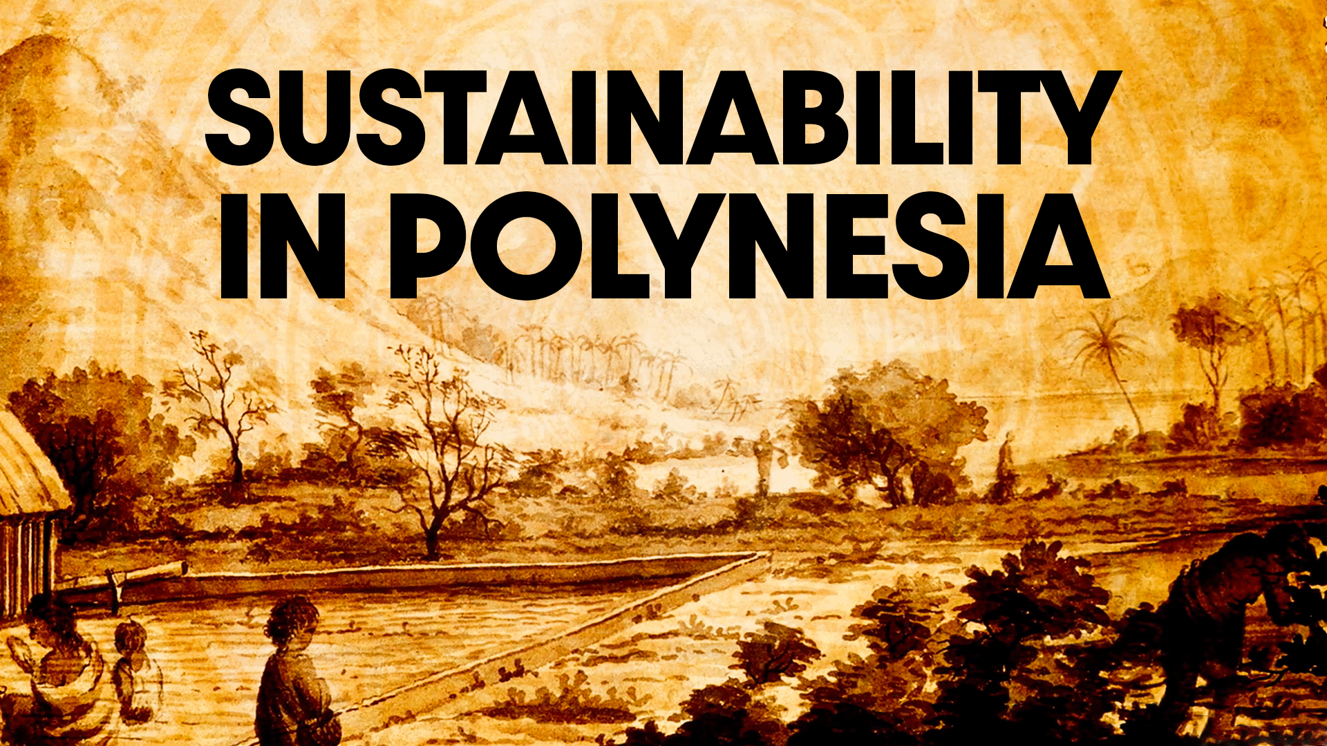 Polynesian Expansion Videos & Resources | ClickView