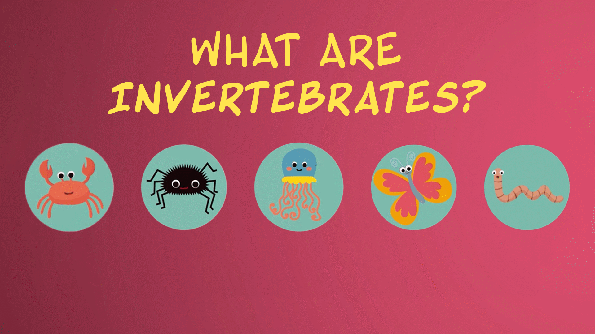 Classifying Animals: Invertebrates | ClickView