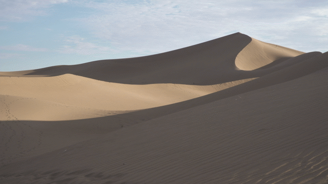 Desertification: Causes, Impacts and Management