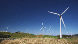 A Brief History of Wind Power