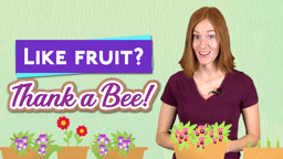 Like Fruit? Thank a Bee!