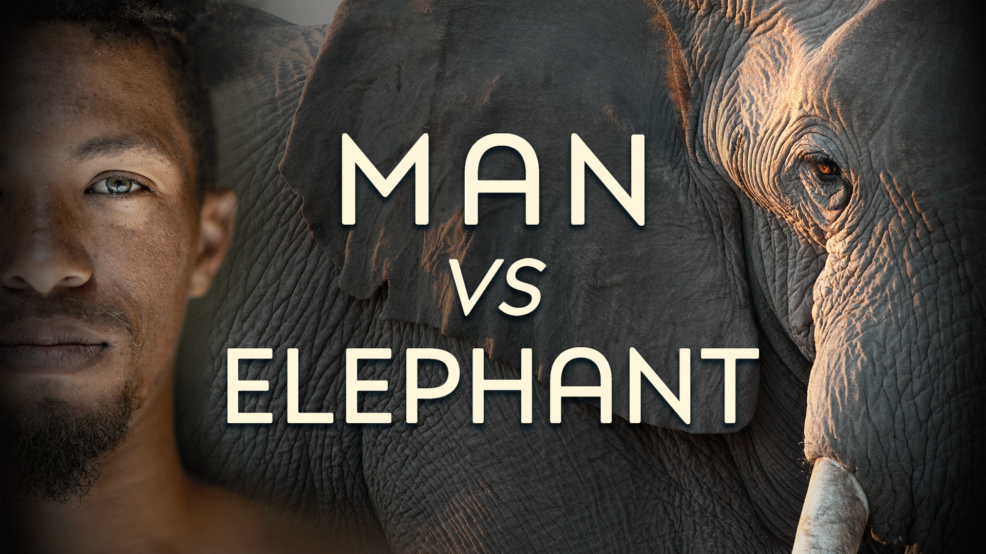 Man Vs Elephant