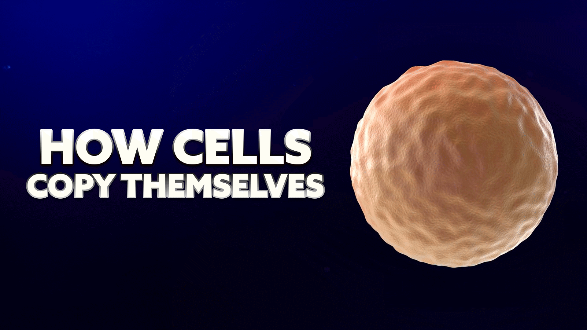 Discovering DNA Videos & Resources | ClickView