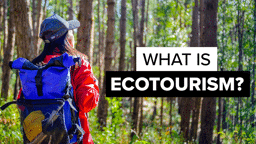 What Is Ecotourism?