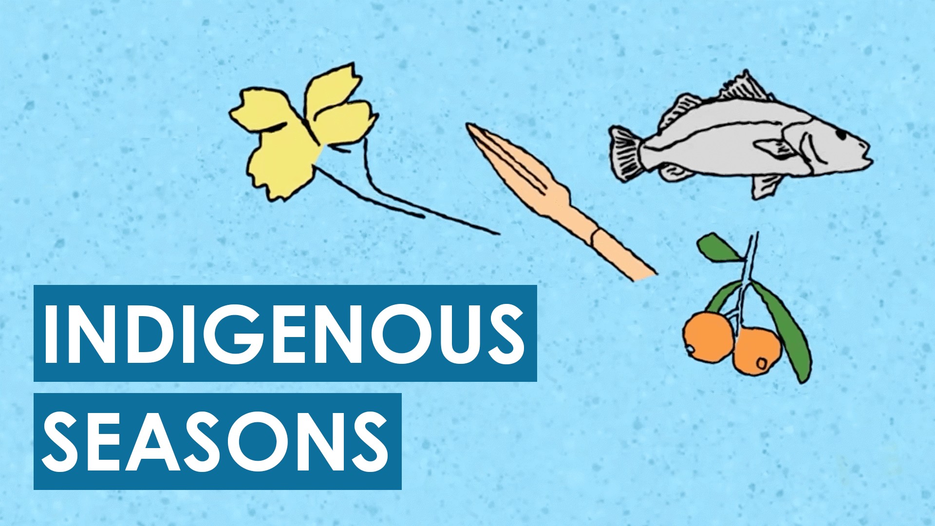 Indigenous Seasons Video & Resources | ClickView