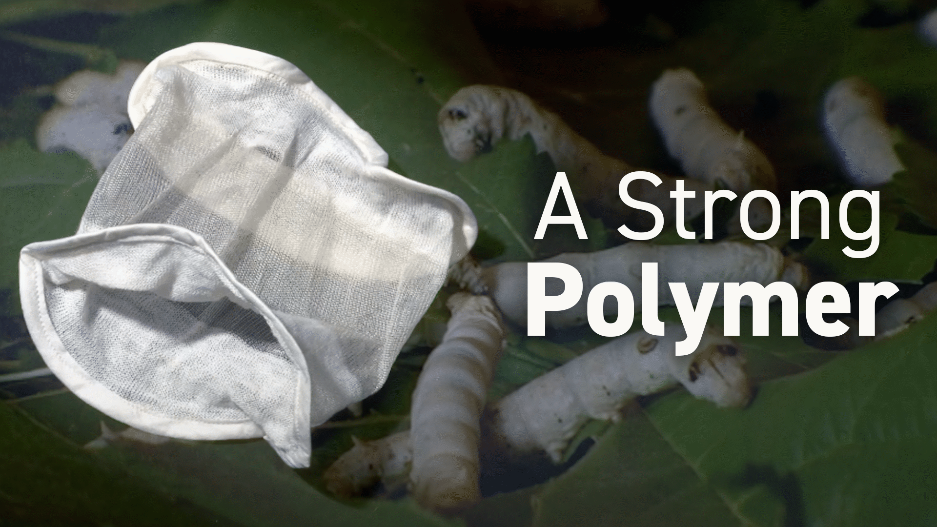 Invention of Nylon Video & Resources | ClickView