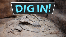 Dig In to Paleontology