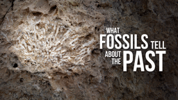 3 Secrets About Ancient Earth Hidden in Marine Fossils
