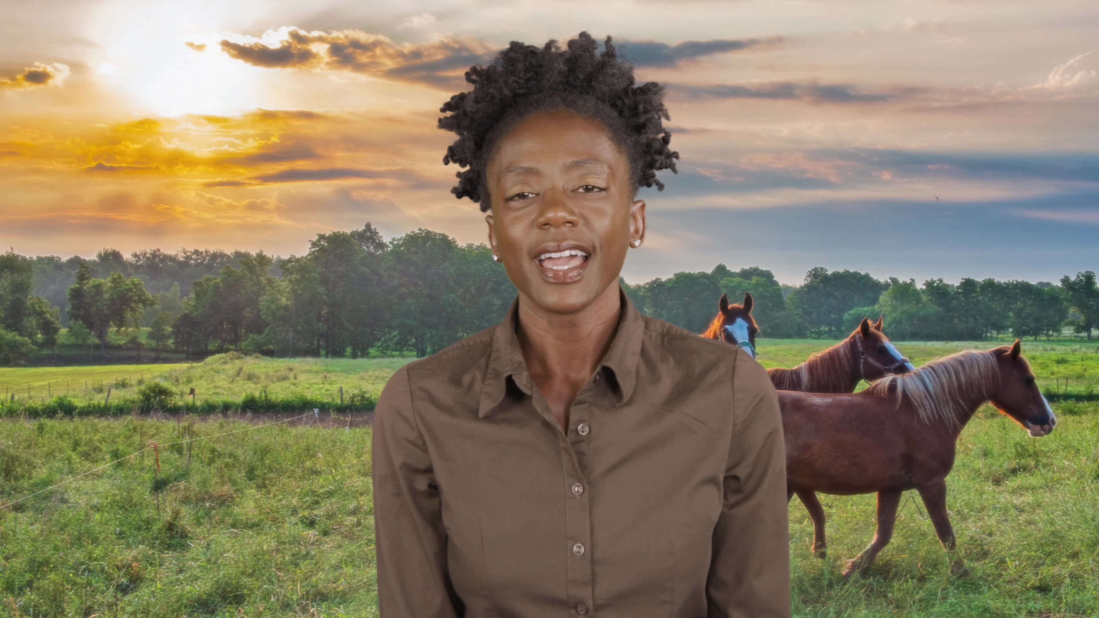 All About Horses: Caring, Riding and Their Amazing Abilities | ClickView