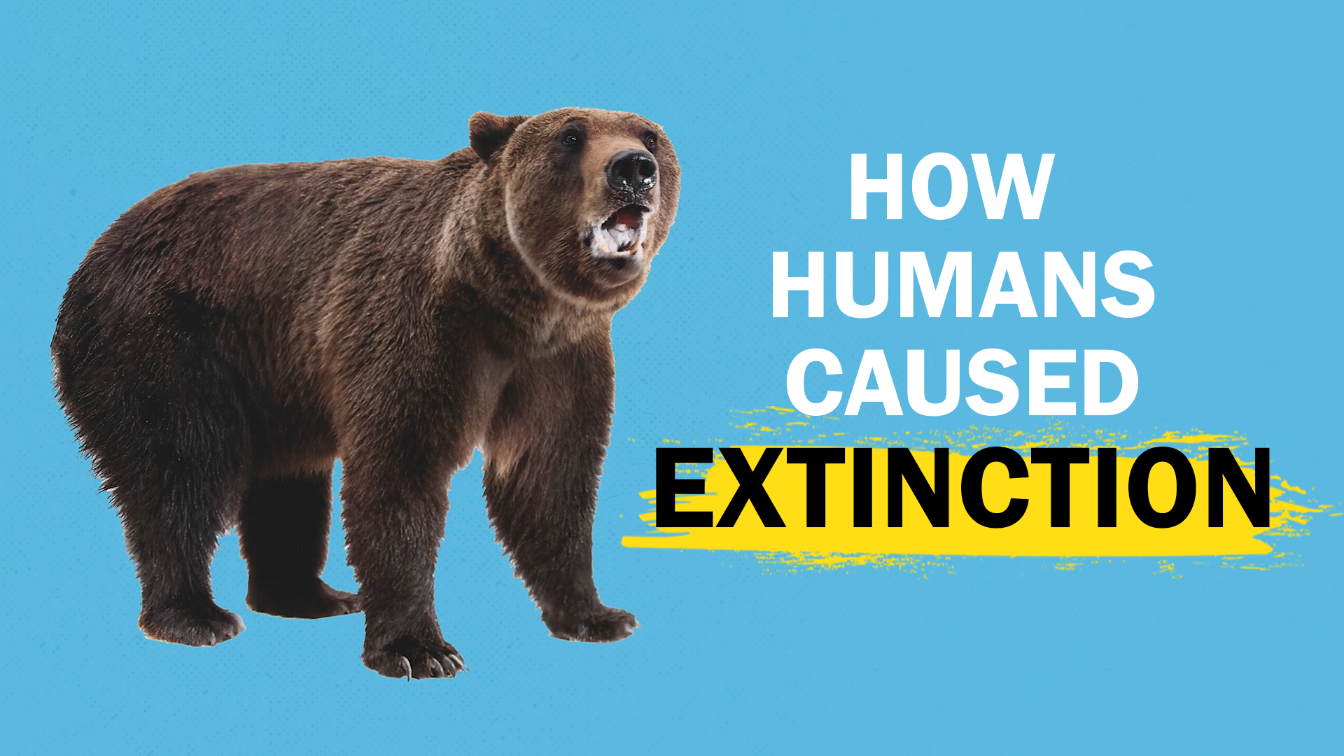 Humans Caused Extinction - ClickView