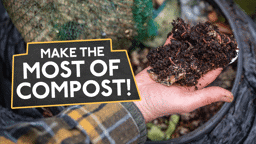 Make the Most of Compost!